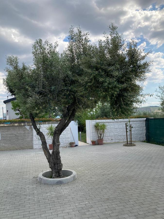Villa Mater Матера Екстериор снимка
